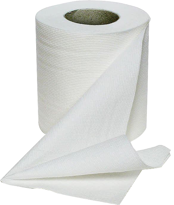 卫生纸 日常生活中的卫生用品