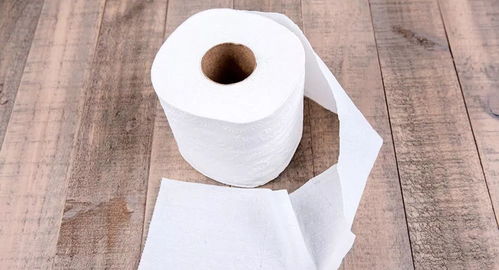 德媒呼吁 放弃卫生纸，反思一次性医疗用品使用